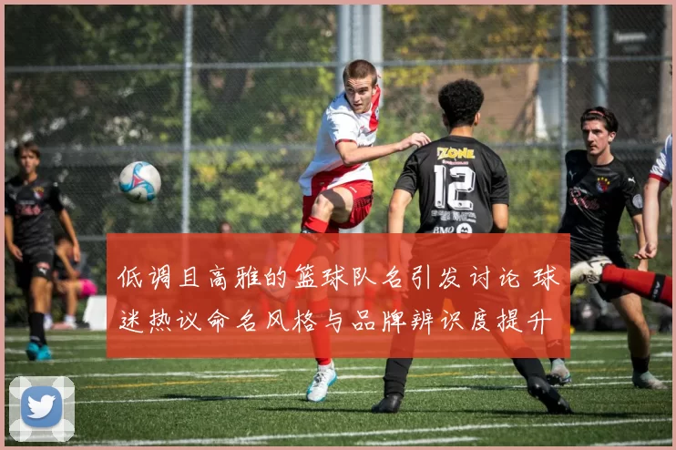 低调且高雅的篮球队名引发讨论 球迷热议命名风格与品牌辨识度提升