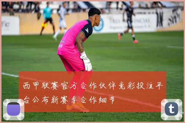 西甲联赛官方合作伙伴竞彩投注平台公布新赛季合作细节