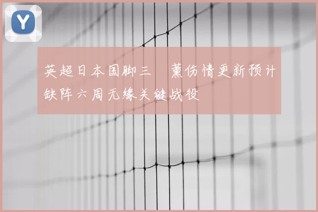 英超日本国脚三笘薰伤情更新预计缺阵六周无缘关键战役