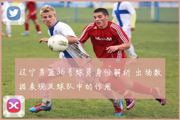 辽宁男篮36号球员身份解析 出场数据表现及球队中的作用