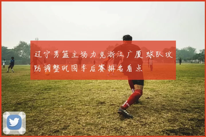 辽宁男篮主场力克浙江广厦 球队攻防调整巩固季后赛排名看点